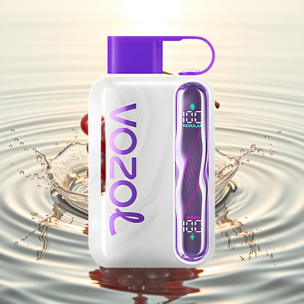 VOZOL STAR 40000 1000mAh Type-C Σταφύλι Πάγος