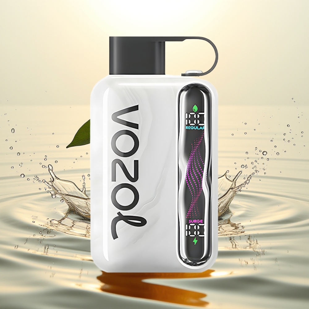 VOZOL STAR 40000 1000mAh Type-C Καπνός