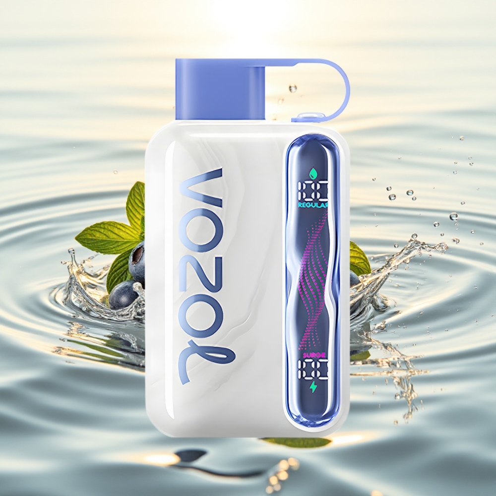 VOZOL STAR 40000 Disposable Vape 1000mAh Type-C Μύρτινο Βατόμουρο